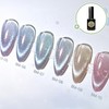 Amingo Oasis Magnet Gel 6-piece set / 아밍고 오아시스 자석젤