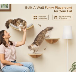 Cat Wall Shelf & Window Perch Combo, Wood Cats Wall Furniture with Soft Foam Curved Bed and Felt-Padded Steps, 4-Piece Floating Cat Climbing System