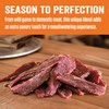 Backwoods Hot Seasoning with Cure Packet