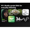 Tipsy M1 IEM, Bamboo Fiber Diaphragm in-Ear Monitor, Warm, Lively
