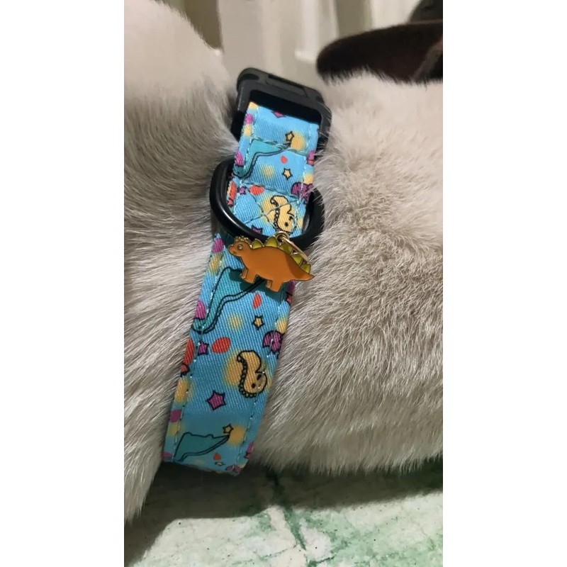 Adjustable Soft Polyester Dog Collar: Featuring a Cute and Adorable