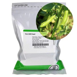 Broad Windsor Fava Bean Seeds - 5 Lb ~1,400 Seeds - Non-GMO, Heirloom - Vegetable Garden Seeds - Vicia faba