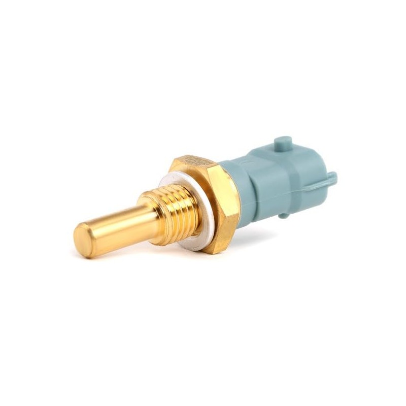 Delphi TS10253 Switch