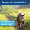 PetSafe Come With Me Kitty Harness and Bungee Leash, Harness