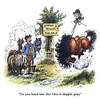 Thelwell Horse riding greeting card. Dapple Grey. Fun cartoon