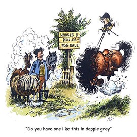 Thelwell Horse riding greeting card. Dapple Grey. Fun cartoon