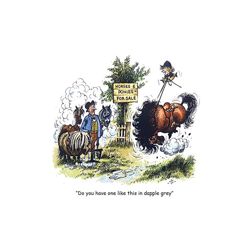 Thelwell Horse riding greeting card. Dapple Grey. Fun cartoon
