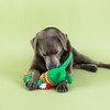 Fringe Studio "Fiesta Saurus Plush Dog Toy, Pet Shop Collection