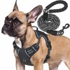 Haapaw Heavy Duty Tactical Dog Harness for Medium Dogs, No