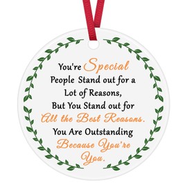 Inspirational Gifts for Women Men Friends Coworkers Appreciation Gift for Boss Nurse Teacher Office Employee Leaving Job Farewell Retirement Birthday Christmas Ornament Keepsake Sign