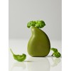 Salt Massage Basil Shampoo Bar / 솔트 마사지 바질 샴푸바