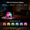 NEEWER NF03 Sunrise Alarm Clock Smart Wake Up Light, AI
