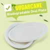 Green Earth, 10-Inch, 125-Count, Compostable Plates, Natural Bagasse (Sugarcane Fiber),