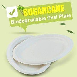 Green Earth, 10-Inch, 125-Count, Compostable Plates, Natural Bagasse (Sugarcane Fiber), Everyday Tableware - Biodegradable - Disposable - Oval Shape - Microwave-Safe - Gluten-Free - Eco-Friendly