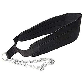 HCE Premium Weight Dipping Belt with 82-cm (32") Heavy Duty Steel D Rings Chain, Black Weight Dip Comfort Fit Neoprene Padded Support - Optimum Weightlifting & Bodybuilding Workouts