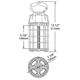 RAB Lighting TEMP-150-850 Outdoor, Image