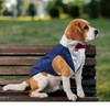 Dog Birthday Clothes boy acceserories Collars Grey Dog Tuxedo for