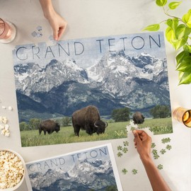 Lantern Press 1000 Piece Jigsaw Puzzle, Grand Teton National Park, Wyoming, Buffalo and Mountain Scene