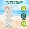 Chunspak 7.75 Inch Disposable Paper Drinking Straws Bulk Individually Wrapped,