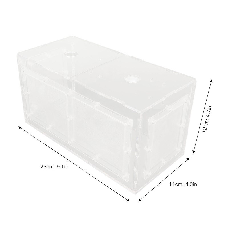 Fish Breeding Isolation Box Transparent Mesh Side Fish Tank Incubator