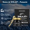 MOVEZEN Shilajit +