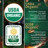 The Bean Organic Coffee Company House Blend, Medium Roast, Whole