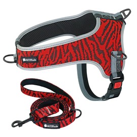 Muttitude No-Pull Training Dog Harness - Front Clip Dog Harness with Leash – Brown, Red, Orange, and Black Dog Harness for Dogs 10 to 55 Lbs (M, Red)