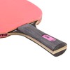 STIGA Pure Color Advance - Raqueta de Tenis de Mesa,