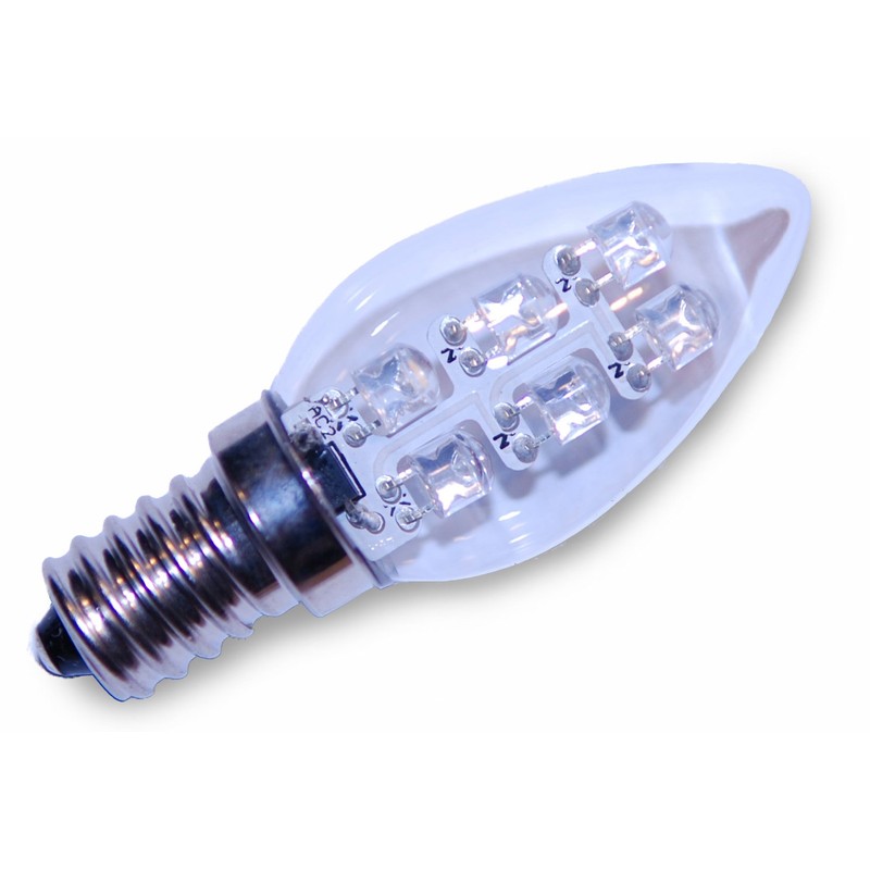 Night Light, Tropical Jungle, Trees, Forest, Green Moss, Landscape LED