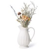 D'vine Dev 10 Inch White Ceramic Pitcher Vase for Home