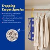 Ubalun Clothes Moth Traps with Powerful Pheromones, Natural & Odor-Free
