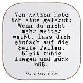 Mr. & Mrs. Panda Bottle Coaster "Von Katzen habe ich..." [German Language] - Gift, Cute, Wooden Coaster with Miezekatze, Saying Gifts, Funny Sayings,