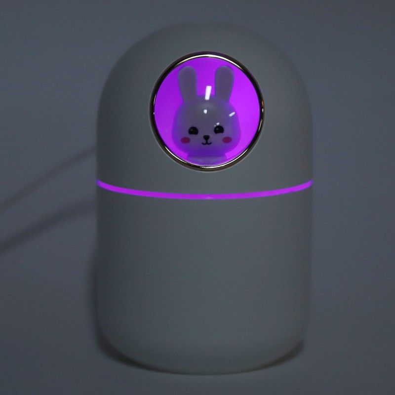 Humidifier Aroma Diffuser USB Power Supply 300ml Capacity Auto Shutdown