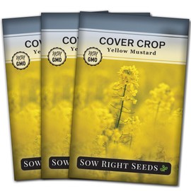 Sow Right Seeds - Yellow Mustard Seed for Planting - Cover Crops to Plant in Your Home Garden - Enriches Soil - Suppresses Weeds - Cold Hardy - Non-GMO Heirloom Seeds - Great Gardening Gift (3)