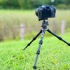 AOKA CMP163C Carbon Table Tripod + KB20 Ball Head CMP163C+KB20