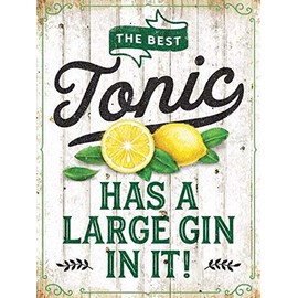 THE BEST TONIC HAS A LARGE GIN IN IT! Novelty GIN & TONIC Cocktail DRINKER Sign - Retro Vintage Style Humorous Funny GIN Gift Decorative Metal Door Sign/Wall Plaque - 20 x 15 cm