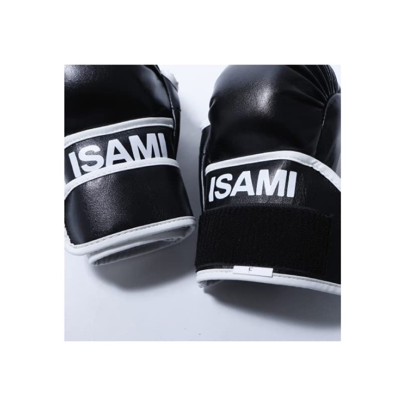 isami TN-8 Pound Gloves Sparring After Mixed Martial Arts (FREE)