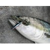 Little Jack Metal ADICT-04 7.1 oz (200 g) #02 MAIWASHI