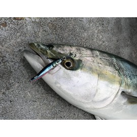 Little Jack Metal ADICT-04 7.1 oz (200 g) #02 MAIWASHI VERTICAL HOLO 4.4 inches (112 mm)