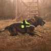 Bolux Dog Harness, No-Pull Reflective Dog Vest, Breathable Adjustable Pet