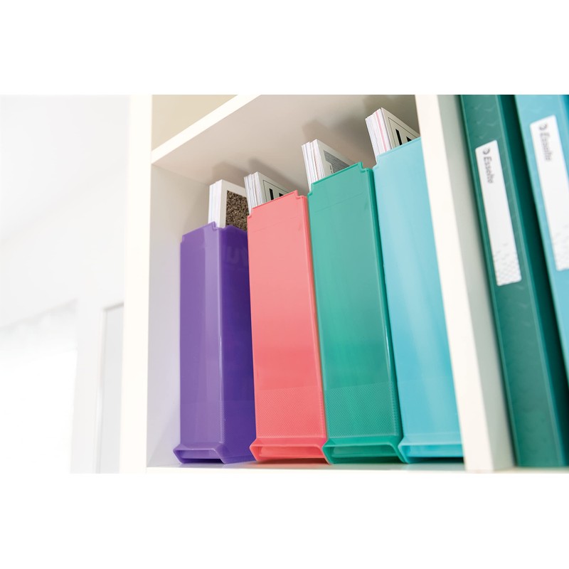 Esselte Magazine Folder, A4 Paper Tray for Documents, Catalogues and