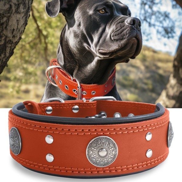 Leather Dog Collar, 5 cm Wide, Robust Genuine Leather Collar,