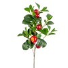 Factory Direct Craft Artificial Red Apple Stem for Summer Arrangements