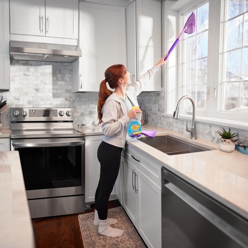 Invisible Glass 95165 Reach & Clean Home Glass Cleaning Tool
