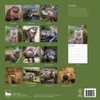 2026 Wall Calendar | 12" x 24" Open | Nature