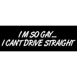 Work House Signs I'M SO GAY I CAN'T DRIVE STRAIGHT  set of 3 Magnets Funny Magnet bumper safety