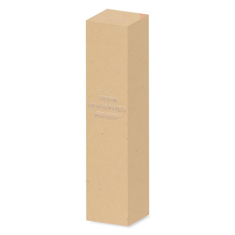 The Flower Shop Concealer (Orange)