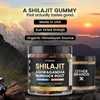 Organic Shilajit Gummies, Sea Moss, Ashwagandha, 105+ Trace Minerals –