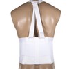 CHAMPION Industrial Belt Elastic Back Brace, Abdominal Support, Shoulder Straps,