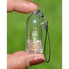 Goldy Cactus Live Terrarium Necklace Plant. Tiny Cacti with 17" Blue Woven Necklace